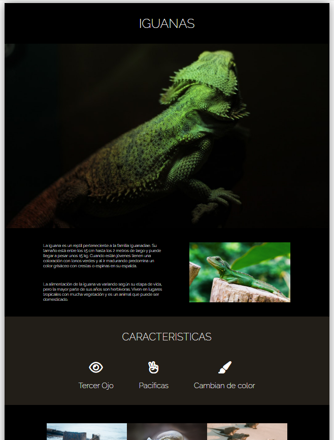 Iguana Page